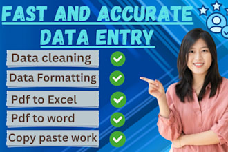 do fastest data entry, cleaning, formatting, file conversion