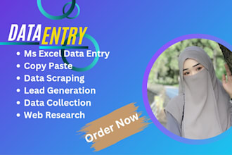 do data enrichment, data entry, copy paste and web scraping