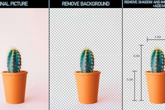 remove backgrounds and edit the photos to look them better
