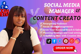 be social media manager for facebook ads campaign pinterest instagram marketing