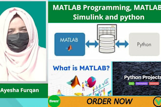 do matlab programming, python programming and matlab simulink