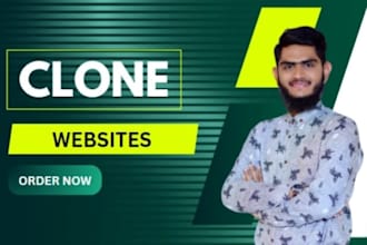 copy, clone, duplicate or redesign any website