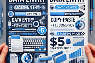 provide accurate data entry, formatting , file conversion