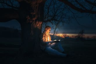 do urgent english literature,essay, summary, article analysis, linguistics