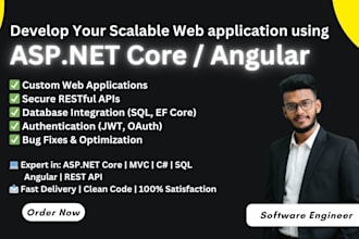 build asp dot net core and angular web applications