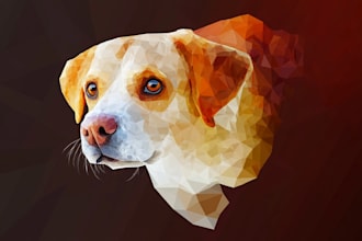 do create a low poly illustrations portraits form photos