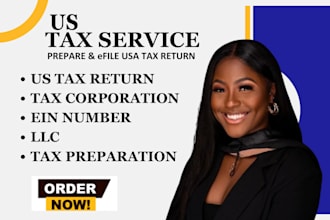 e file USA individual and llc business tax returns