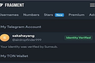 setup telegram ads, pump fun 80m crypto cto presale, fragment verification
