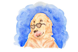 paint a hand drawn watercolor pet portrait or pet painting