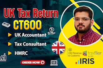 do UK tax return and filing with hmrc, vat, ct600