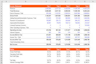 do financial analysis, modeling, management and ratio analysis
