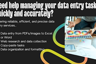 be your virtual assistant for data entry work