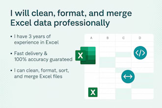 clean, format, and merge excel data professionally
