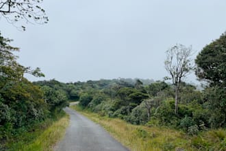deliver professional sri lanka travel photos for contents
