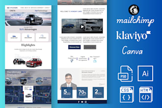 manage your mailchimp or klaviyo email and set up automation