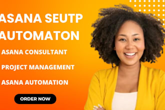 setup asana consultant setup asana project management boards with automations