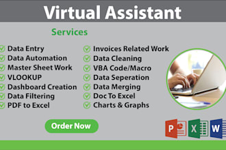 do excel data entry, data cleaning and automation