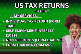 prepare and file US tax return, US tax filing, for businesses and individual