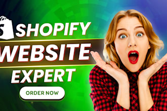 build shopify ecommerce website shopify dropshipping store with winning products