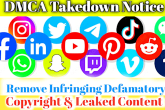 remove delete takedown mugshots instagram,yt,tiktok,reddit,x,shopify,under dmca