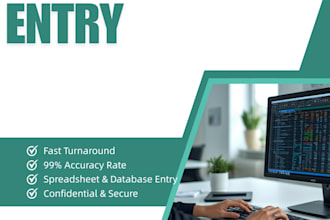 do medical data entry in excel, word, and google sheets