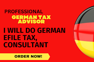 do german efile tax return, tax return consultant