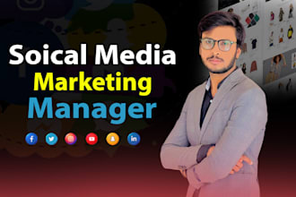manage facebook and instagram ads campaign, digital marketing plan your business