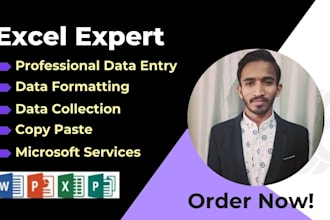 fast and accurate data entry, copy paste in excel or google sheets