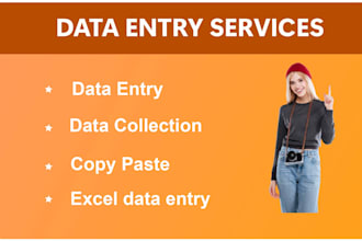 do fastest data entry 1 day copy paste, excel, scraping