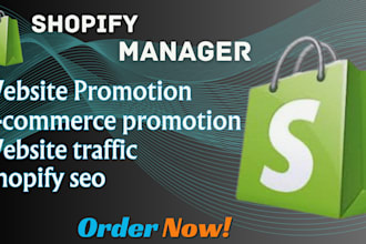 boost shopify store sales ecommerce website promotion shopify dropship marketing