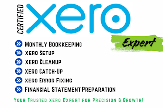 manage monthly bookkeeping, setup, cleanup, catch up, and reporting in xero