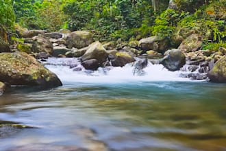 create stunning 4k nature videos with original sounds for relaxation