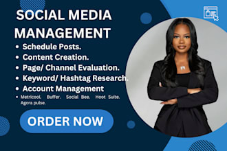 schedule post agorapulse buffer metricool social bee hootsuite