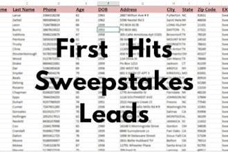 provide you premium sweepstakes leads