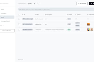 install and configure pocketbase on your vps