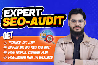 do complete website SEO audit for wordpress, shopify and custom site