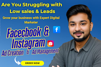 be your facebook and instagram ads campaign manager fb ads expert