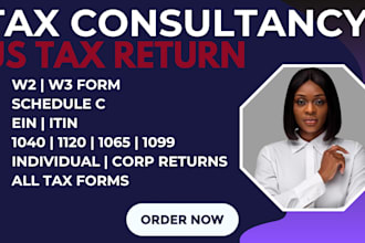prepare and efile USA tax return, schedule c, 1140 and 1120