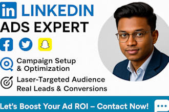 run and manage linkedin and snapchat ad campaigns