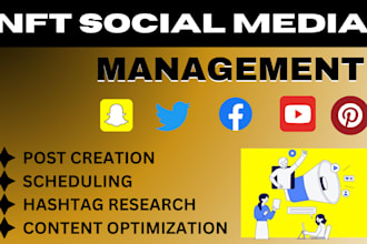 be your professional nft, crypto, ai, web3 social media manager