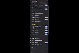 create you a fully custom discord for your community
