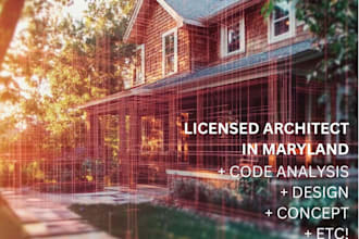 perform expert code analysis as a licensed architect