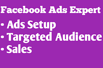 do professional facebook ads expert