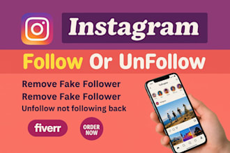 professional instagram clean up unfollow and remove fake followers