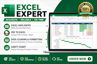 do excel data entry, graph,chart, pivot table,dashboard and formatting