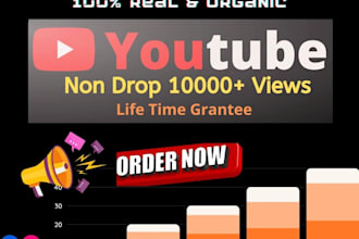 do professional youtube promotion views