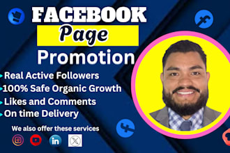 do promotion and grow your facebook page following fast organically