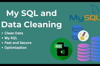 do expert mysql database queries, data cleaning and ms access
