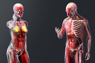 create 3d medical animation 3d surgery animation 3d orthopedic dental animation