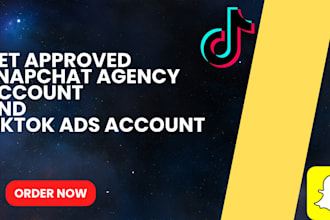 create approved snapchat agency account, tiktok ads account, snapchat ads tiktok